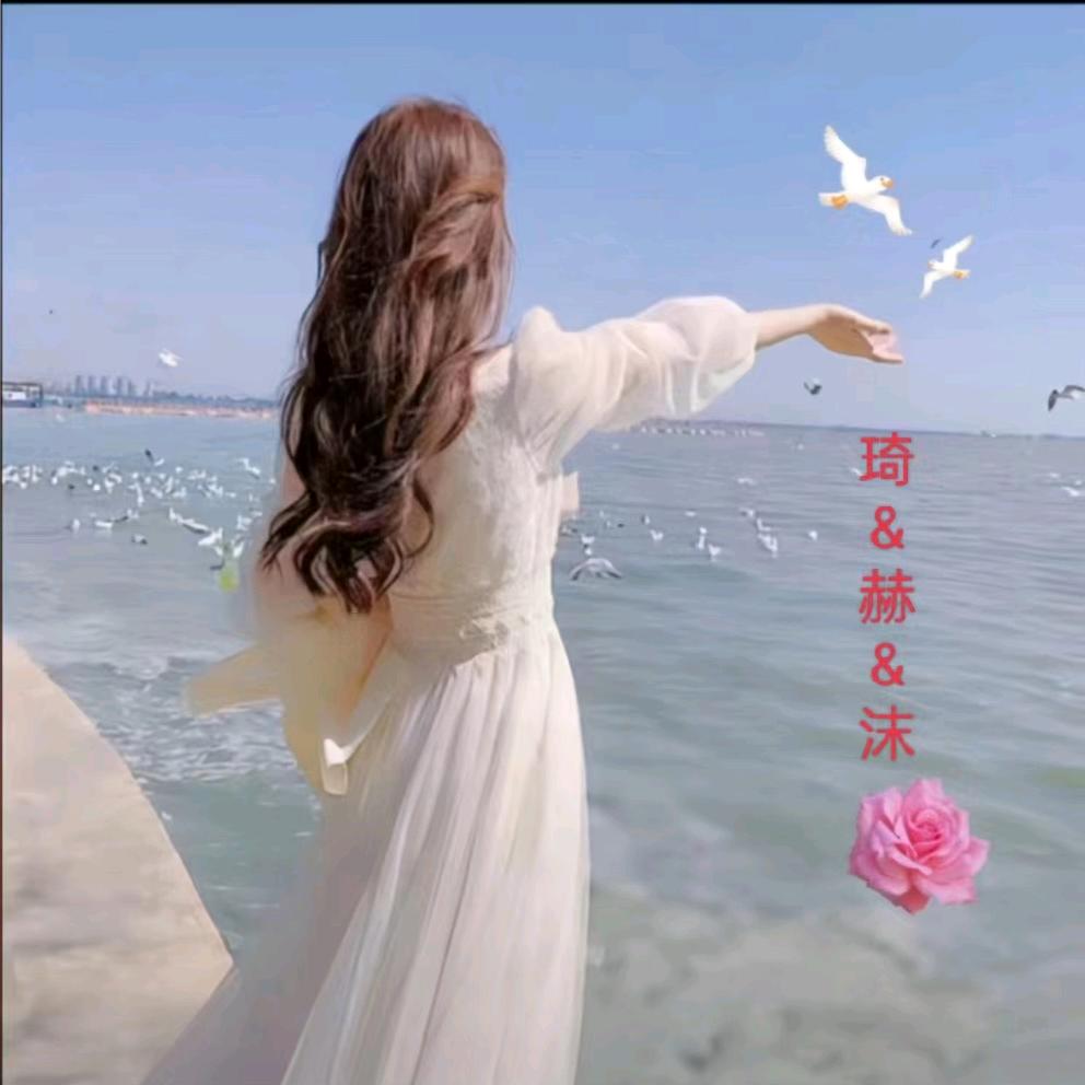 A*小赫赫