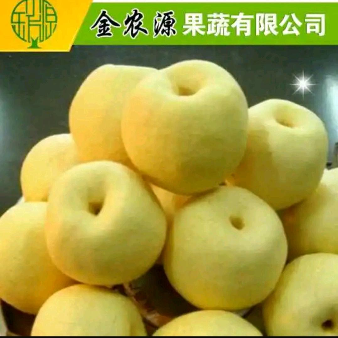 产梨大王