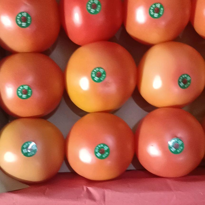 没有压力就没有动力