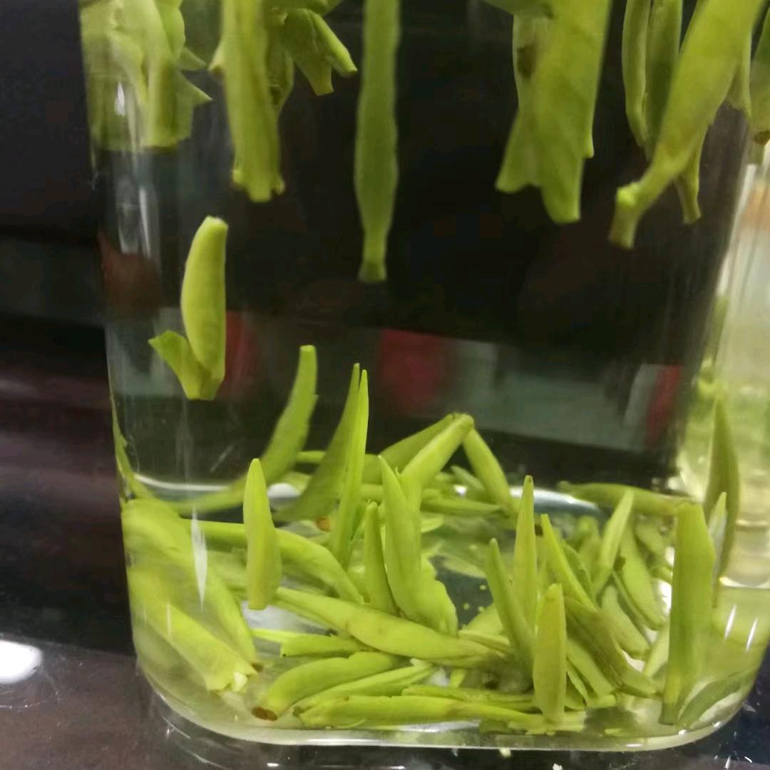老七茶叶批发（关注s聊送样品）