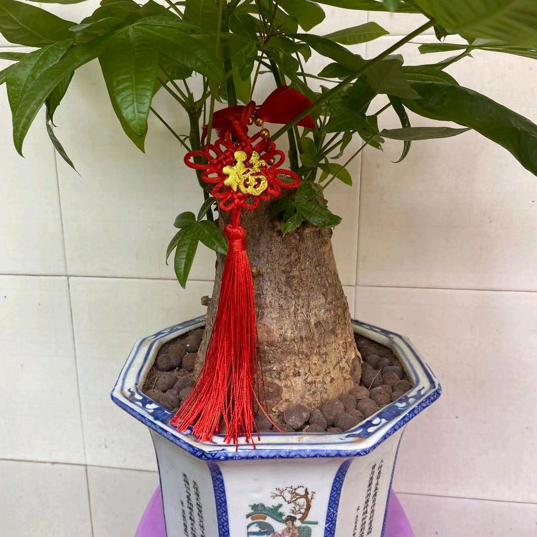 龙年平安