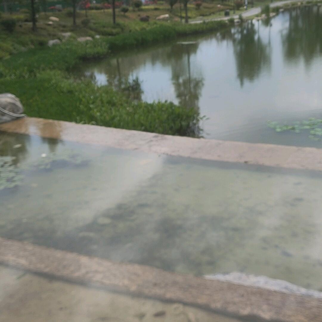 批发节能灯小杨