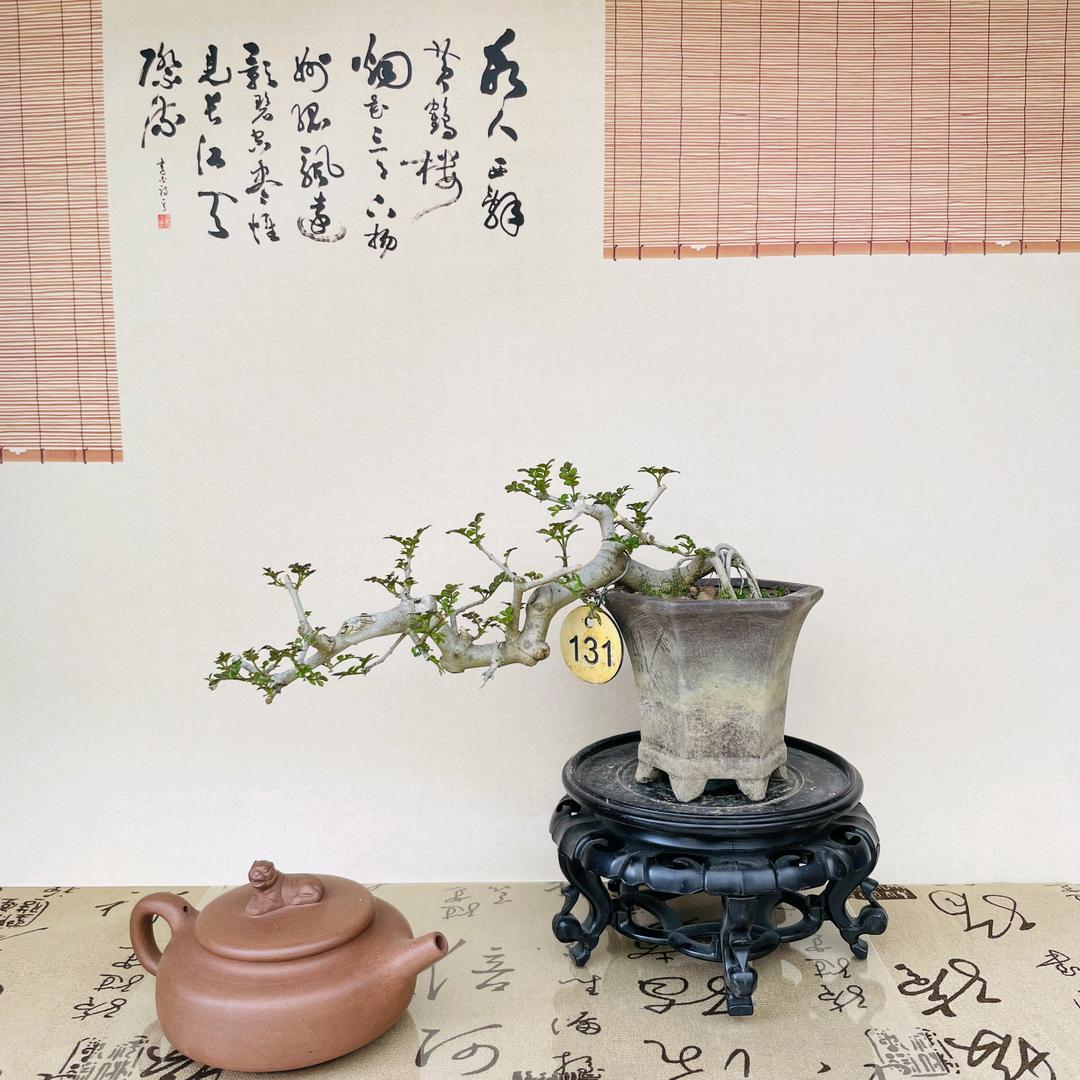 张氏微景园