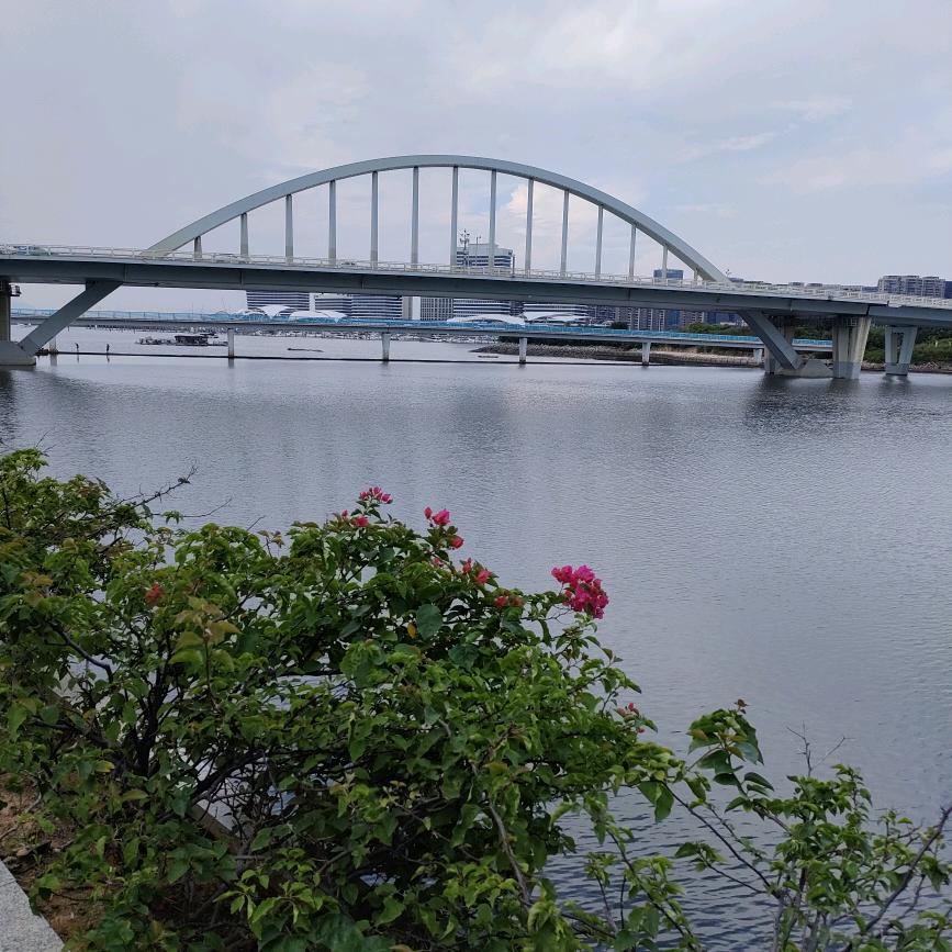 ❤️訫想事陈🍋