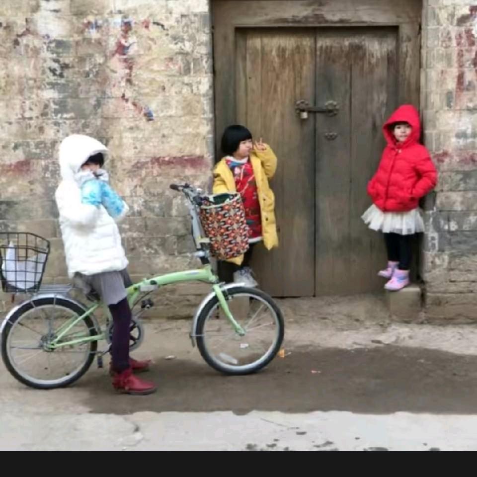 邢台隆尧鸡鸭鹅苗