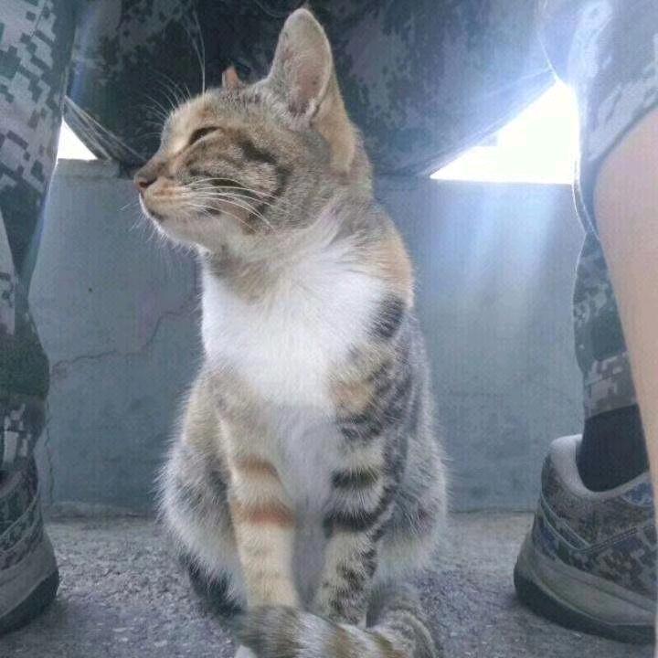 局外者🇨🇳