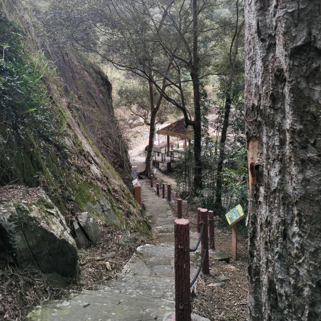 万李挑一🍀☘