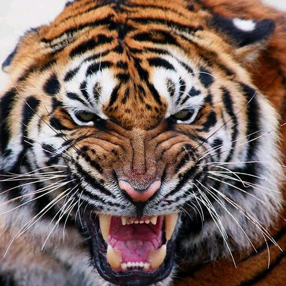 志在心，别在强