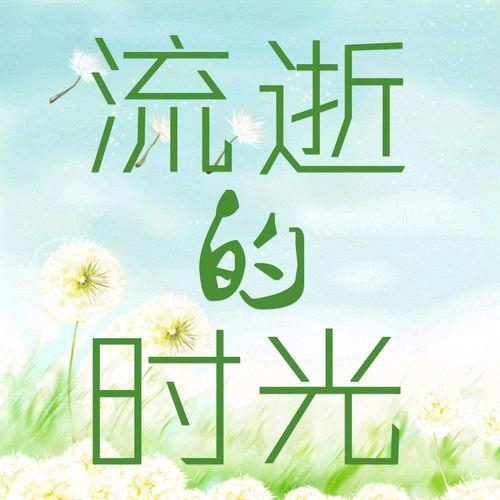 睿渊逸飞