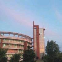 顺其自然