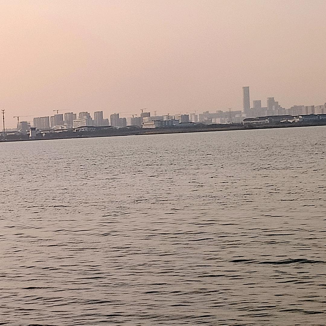 @【周先森】♞