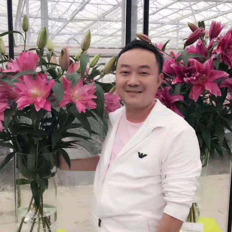 妖媚花卉--杨荣军
