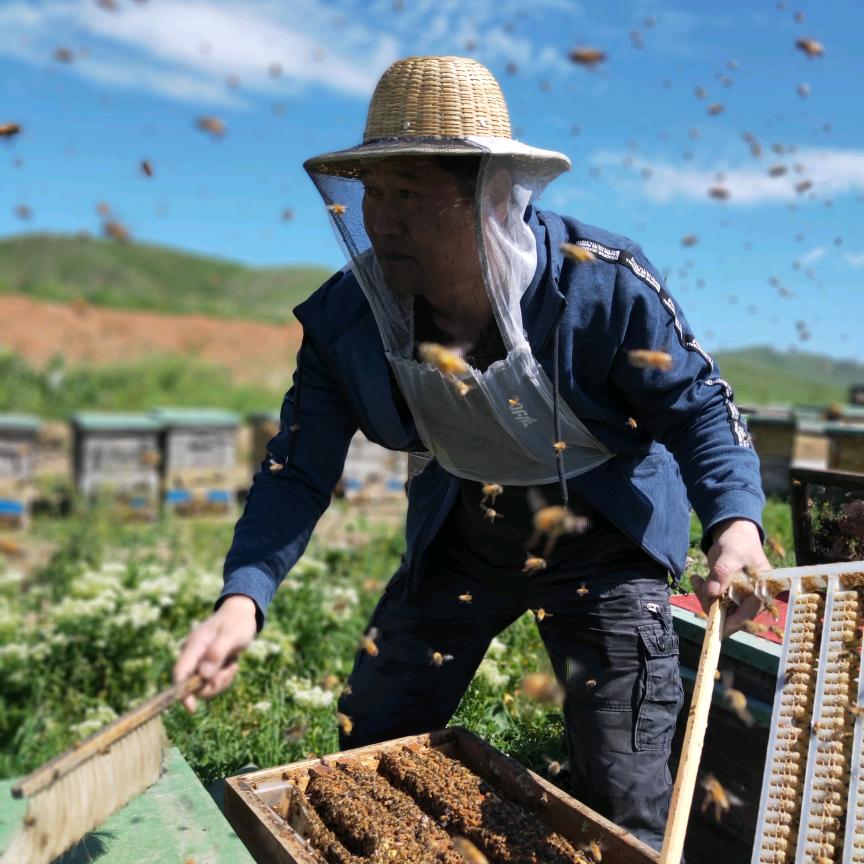 新疆张金道原生态溯源草原蜂蜜
