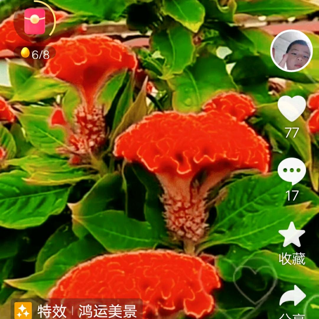 柠檬茶￡🍀