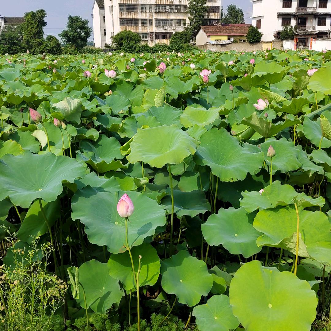 转身遇见你哈哈