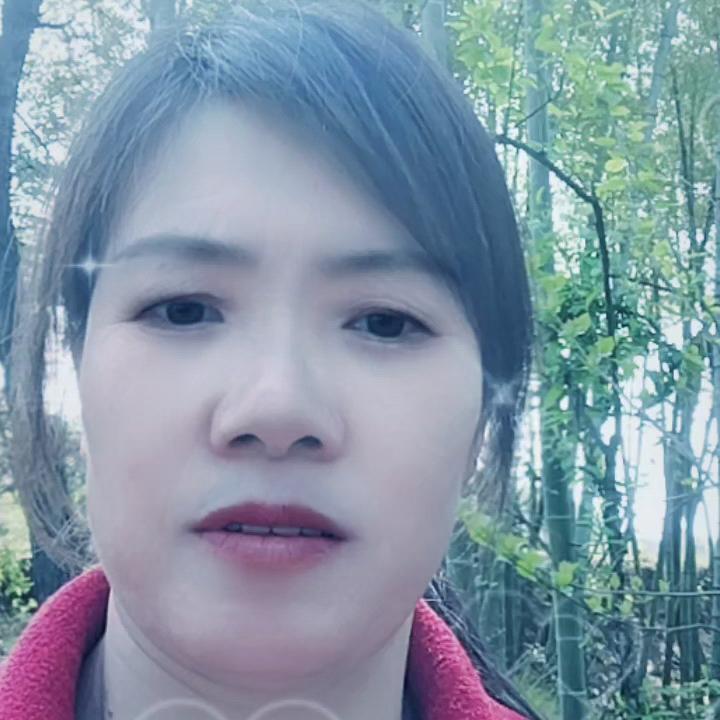 春暖🌸花开