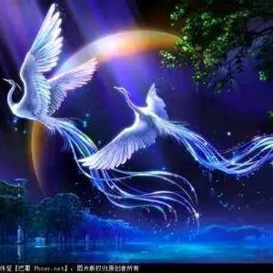 ༄ℒ缘尽ꦿ情封໊ོོྂ࿐
