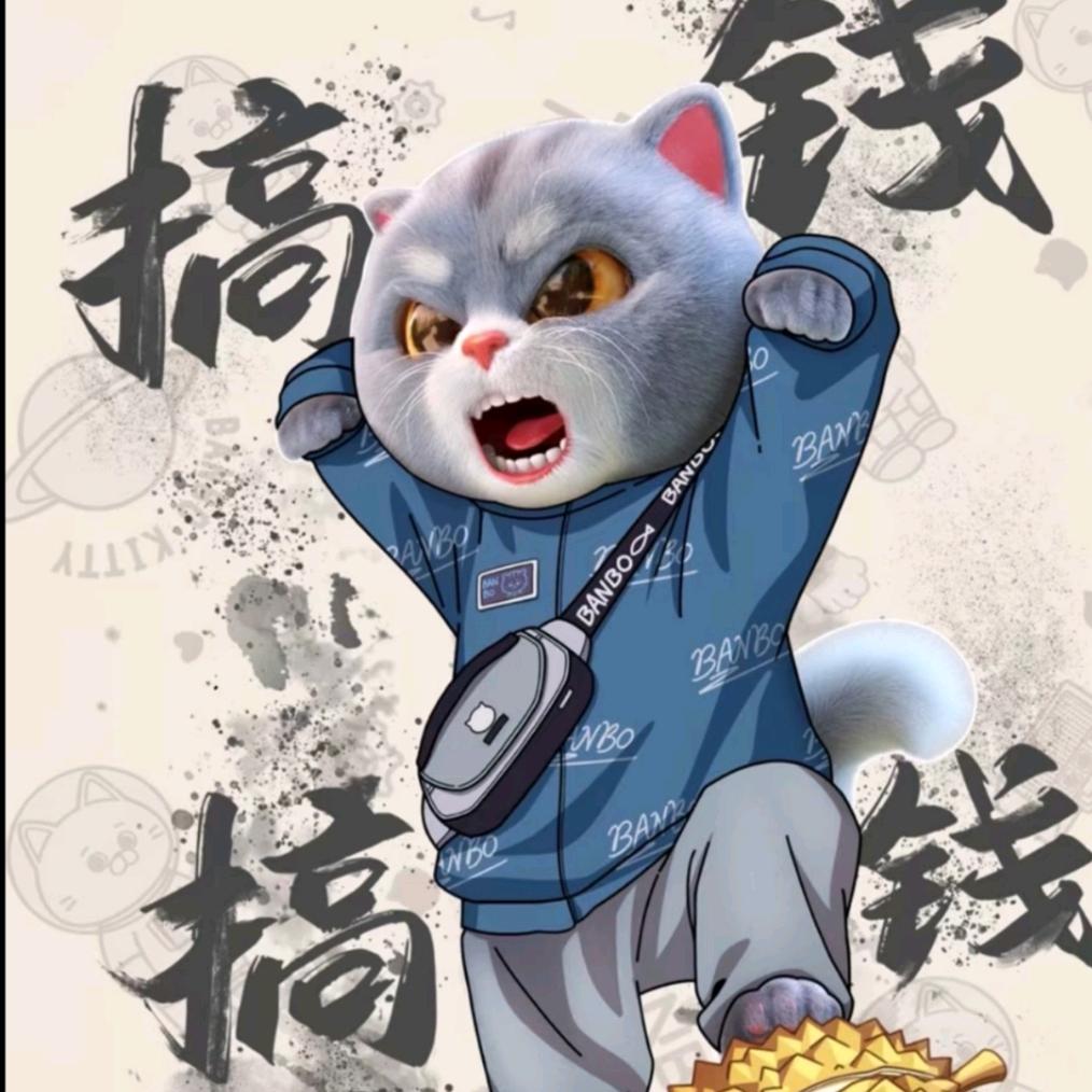 杨帆起航的杨帆