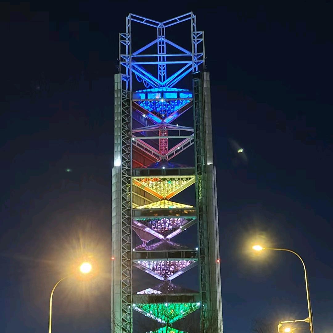 广东菜花