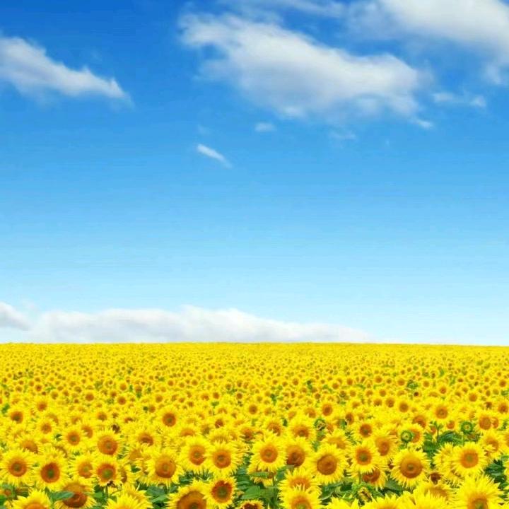 好歌好舞dj