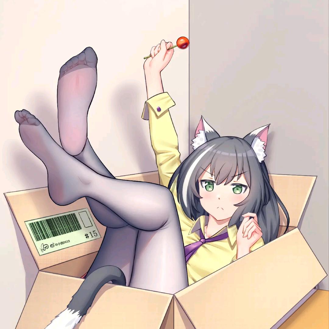 太阳被猫吐出了