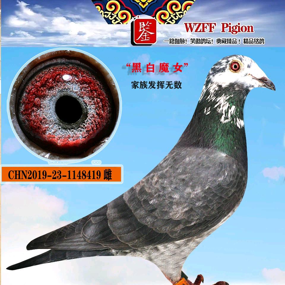 黑白无常
