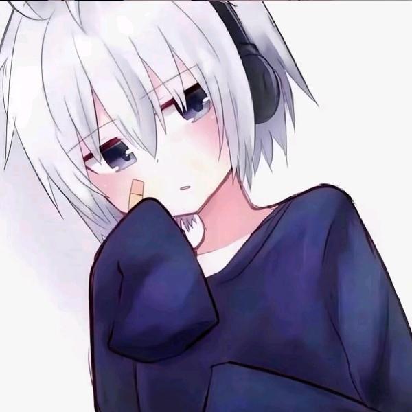 秋 木