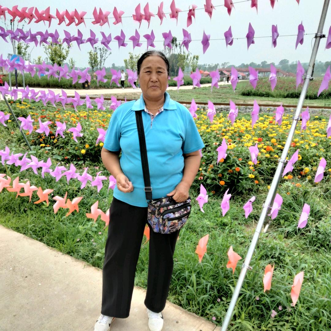 老苗婆媳