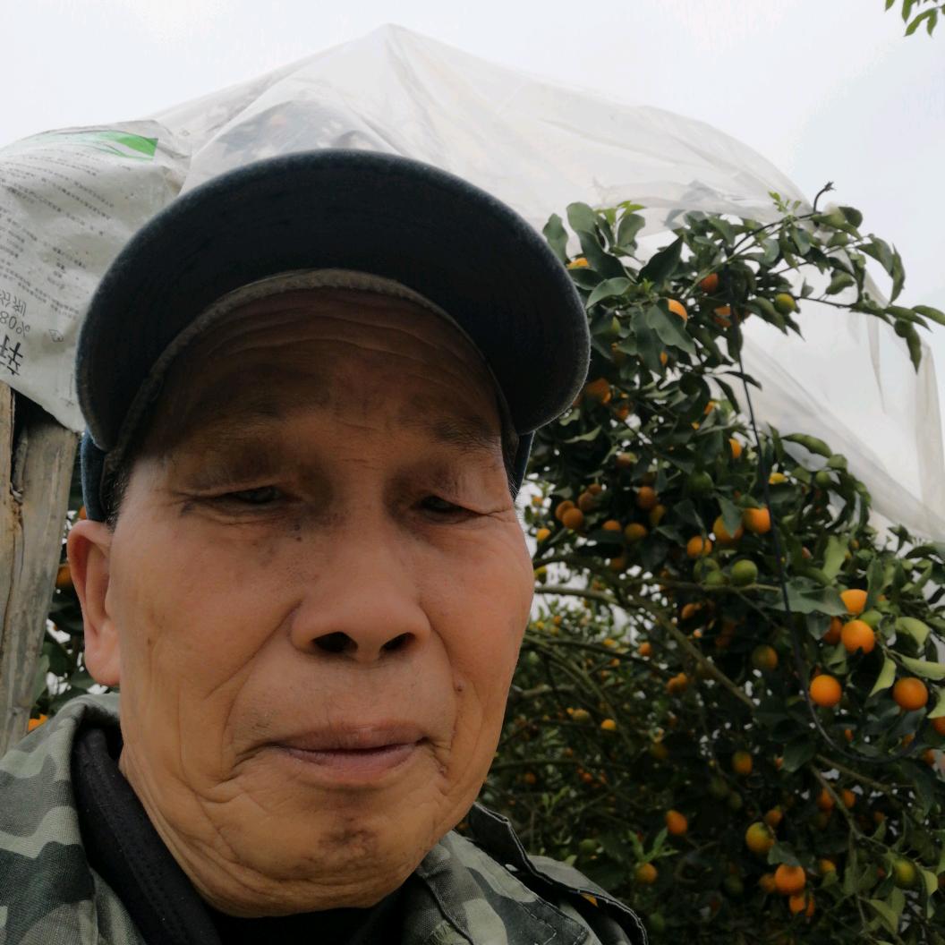 张飞哥❤️