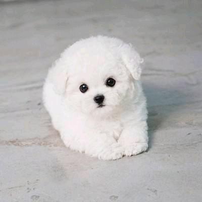 峻锐优选