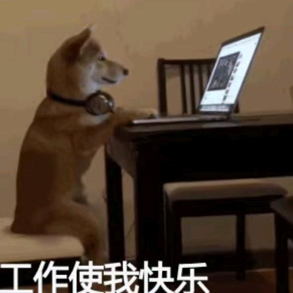 烤地瓜