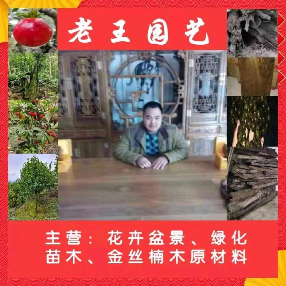 老王园艺