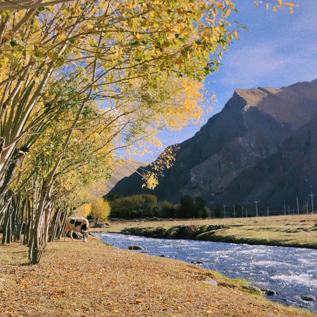 峻熙欧巴他粑粑