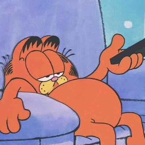 加菲猫生活