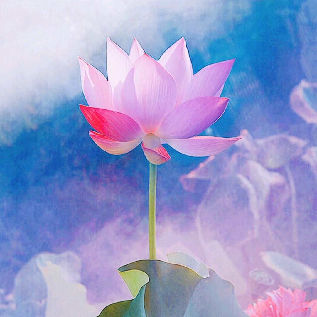 一个人的孤单
