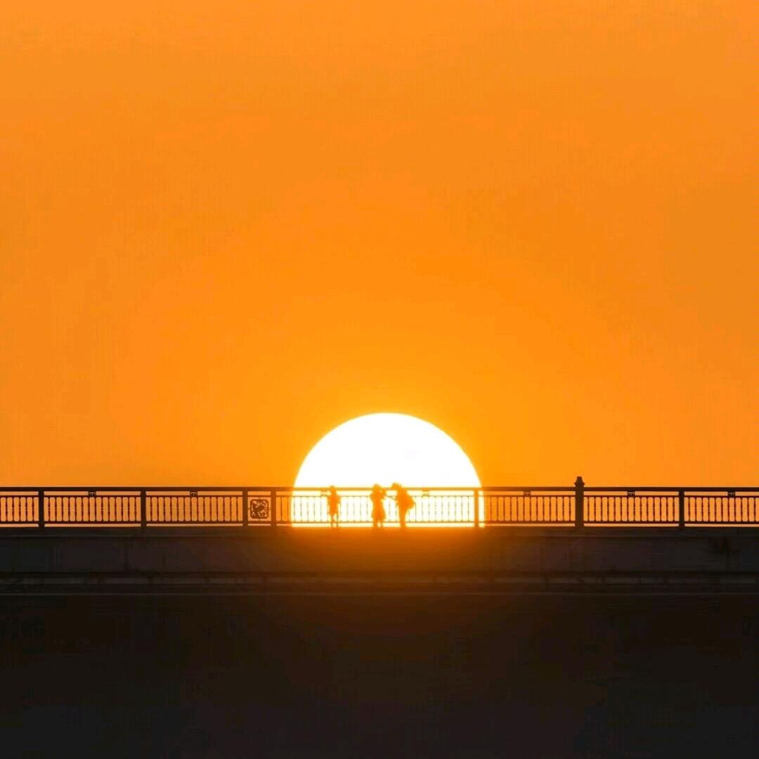 武陟彩会农产优品店