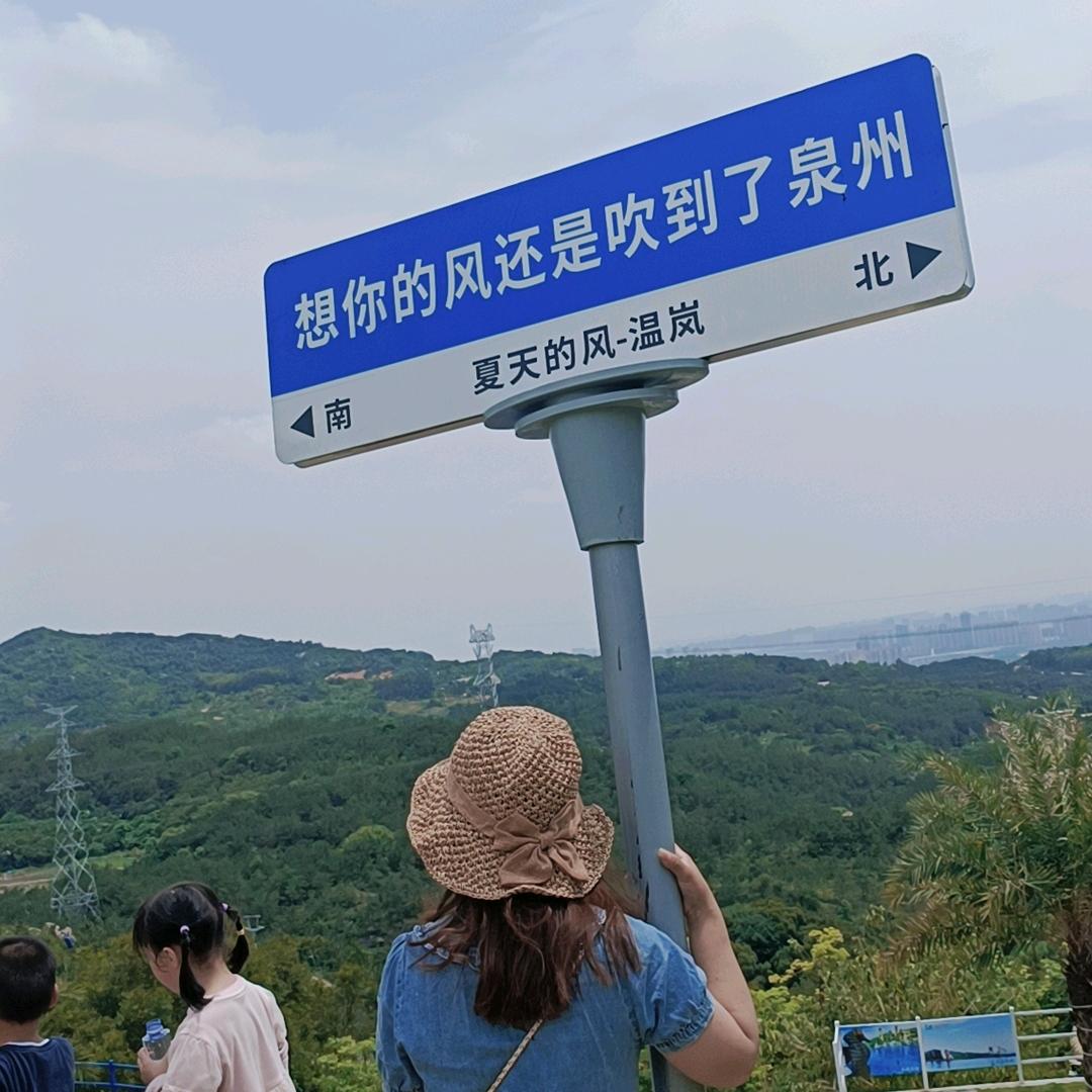 梦小姐呀