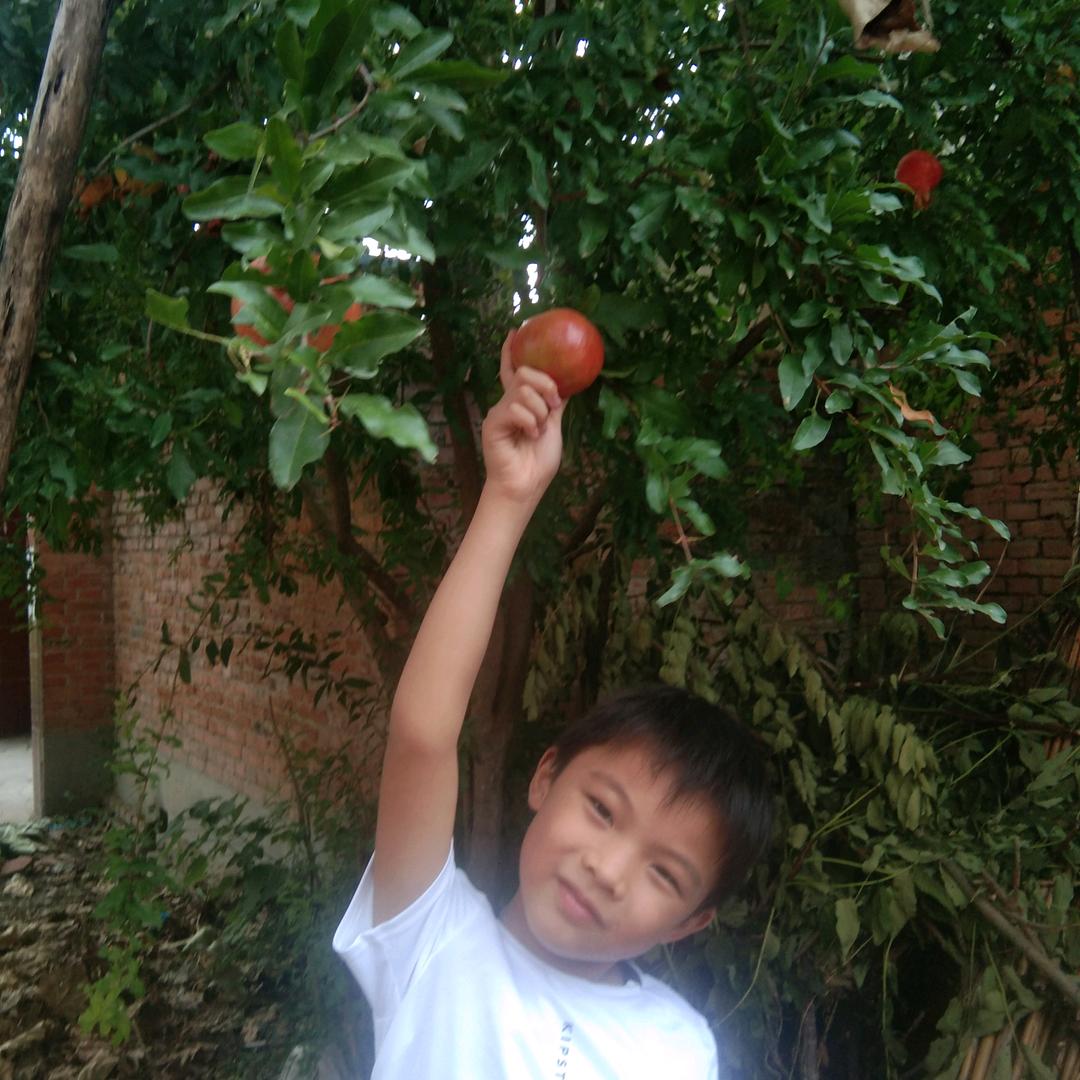 王佳云（感恩众生）