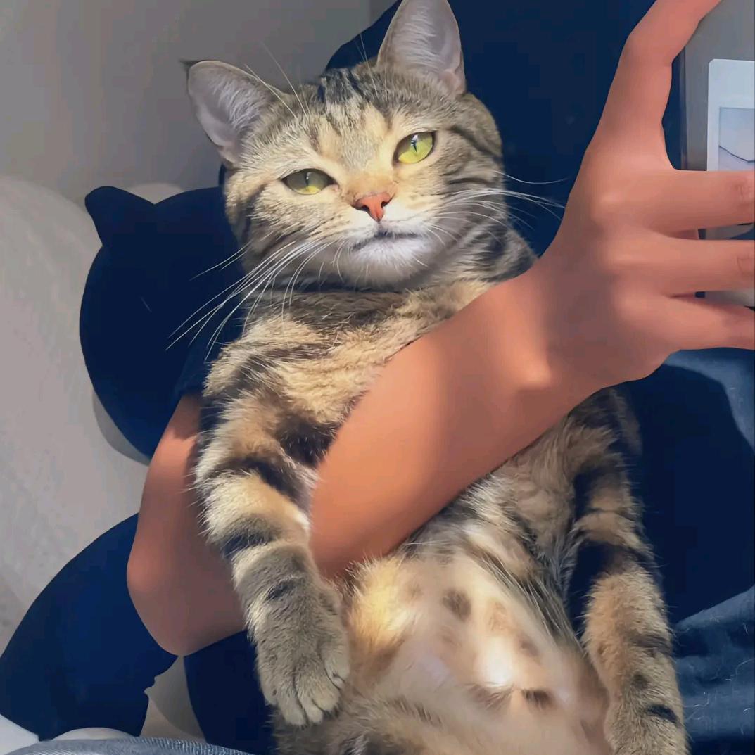 在南墙收回头费