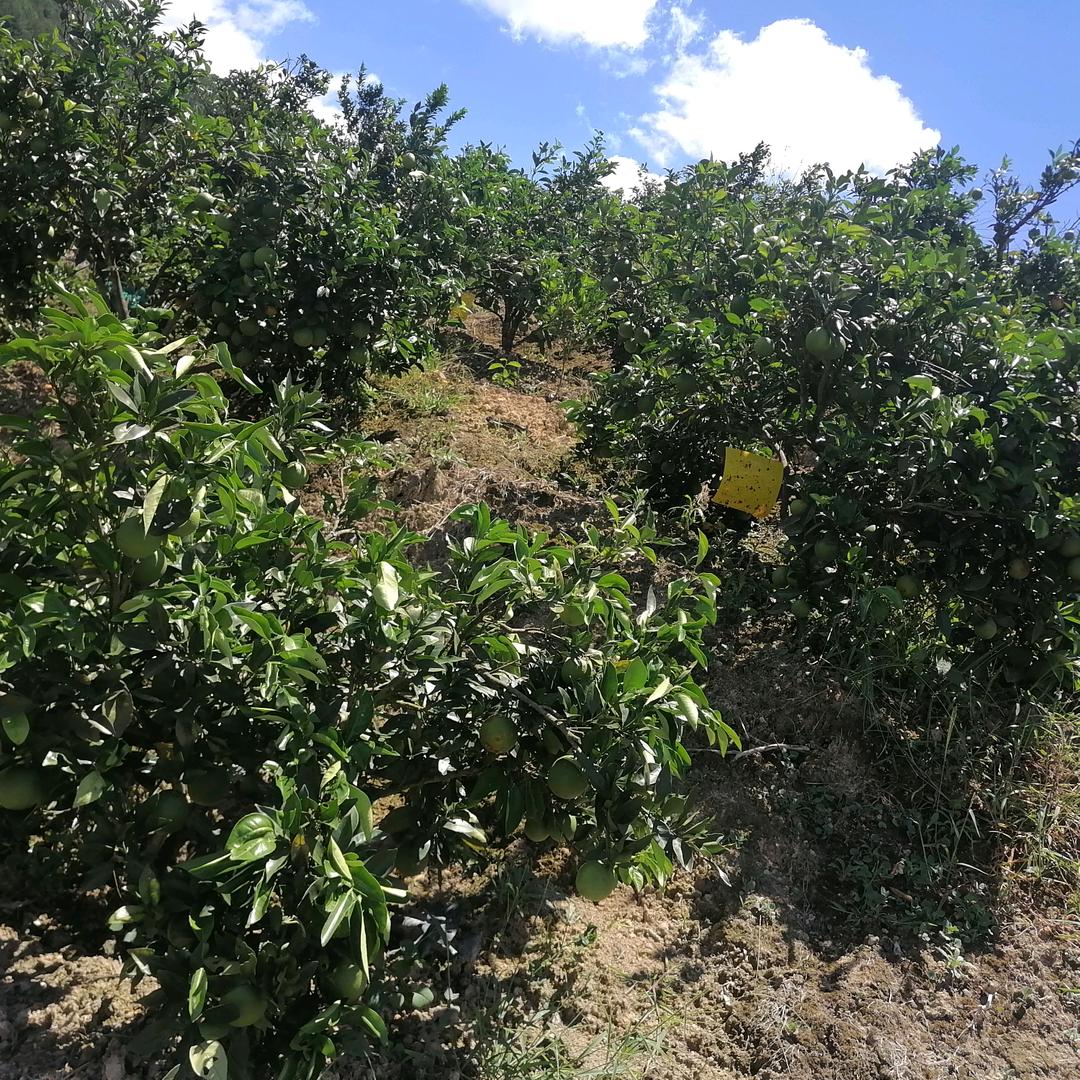 永泰天坵农场创意农品屋