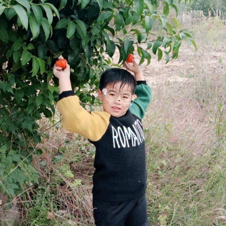 李贝
