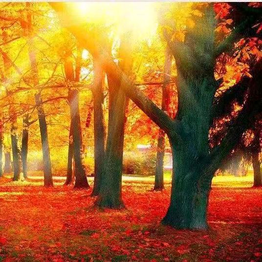 ヽ(｡･ω･｡)ﾉ💰亿千万