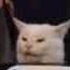 猫猫嘿嘿