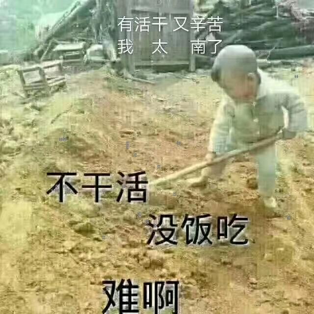 一叶知秋