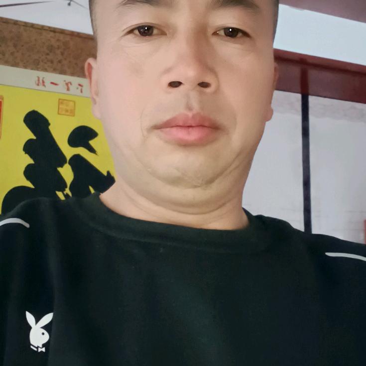 @沙漠胡杨