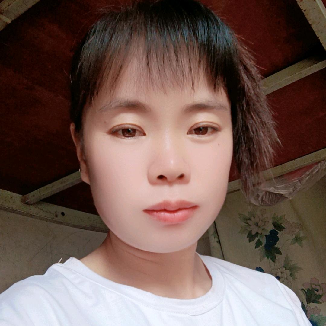 贵州燕飞