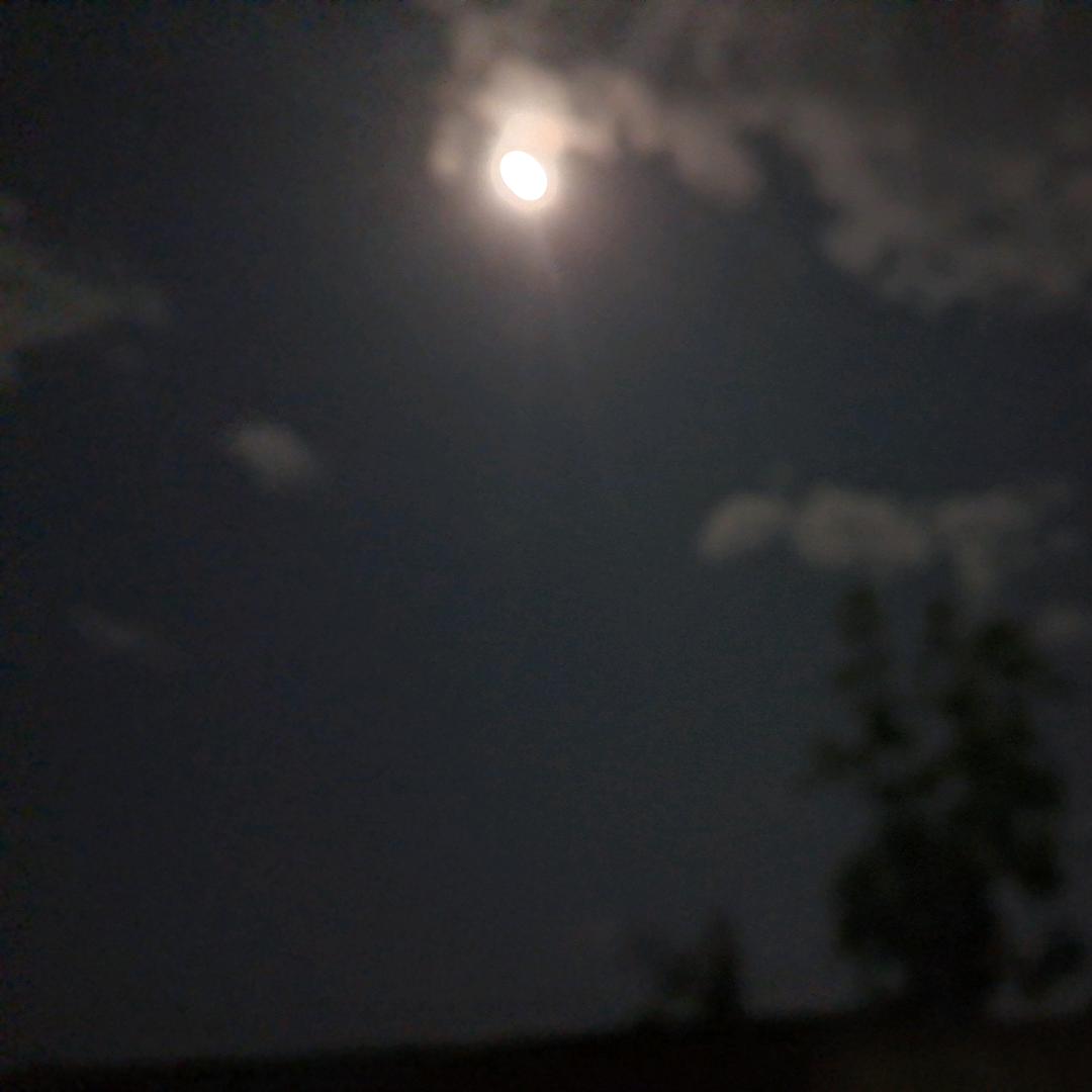 晨♡曦