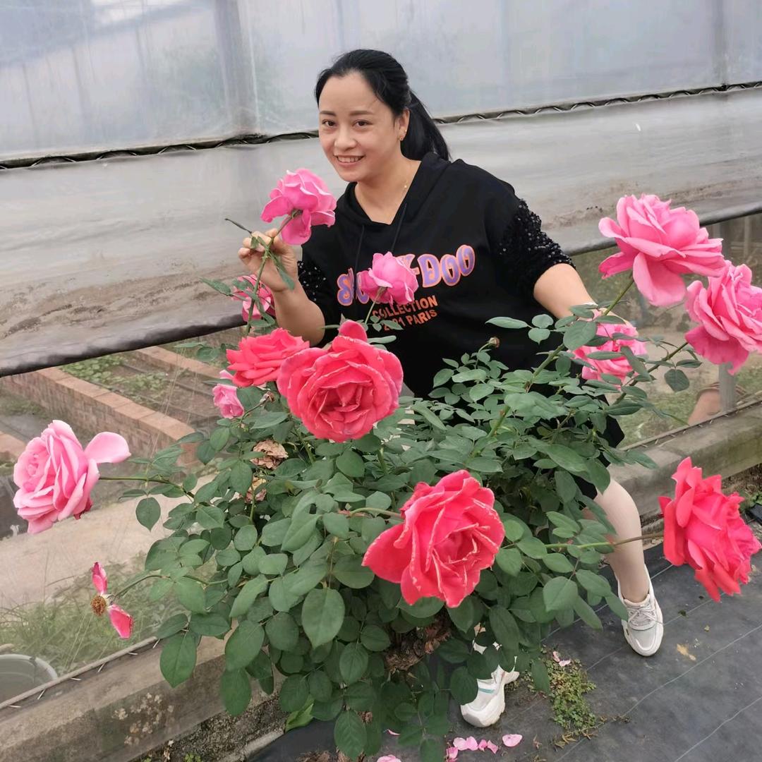 @ じ浅夏ゞ初雨