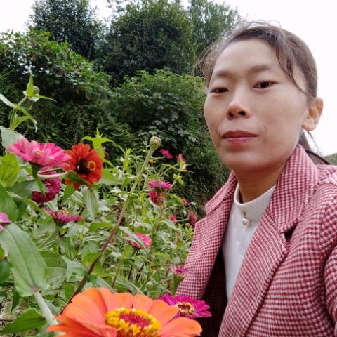 霞姐姐