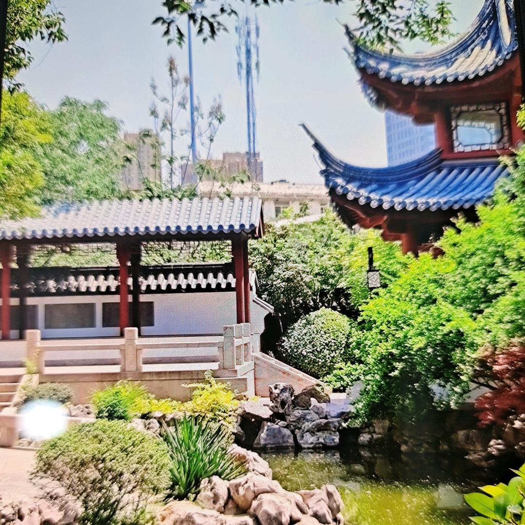 罗美姐